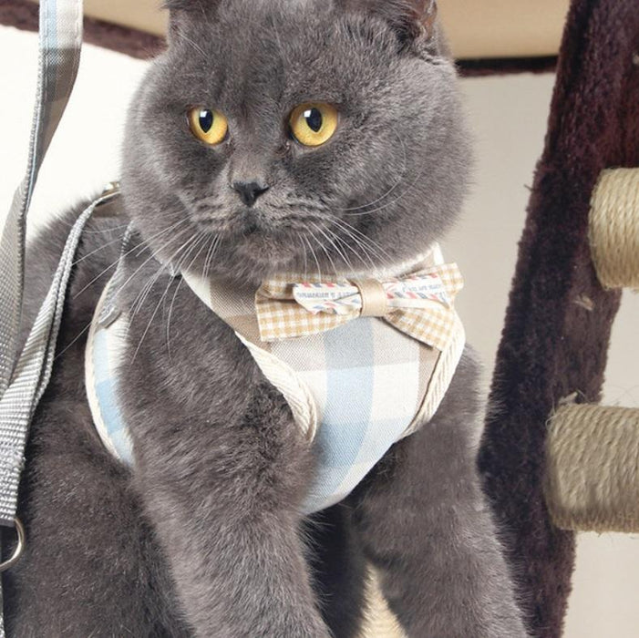 Small Dog Chest Harness With Anti Break Traction Rope Size S