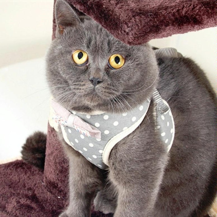 Small Dog Chest Harness With Anti Break Traction Rope Size S