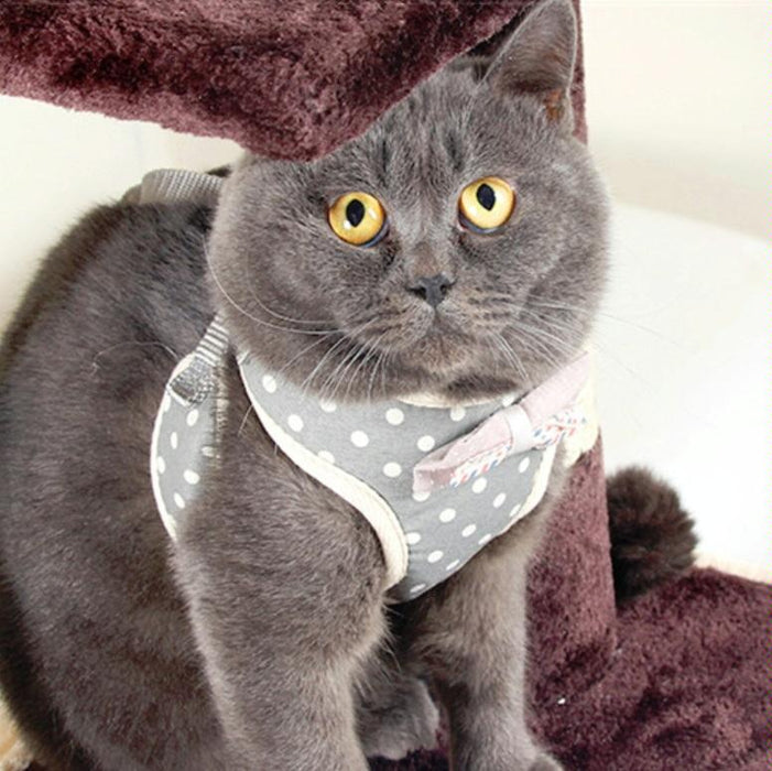 Small Dog Chest Harness With Anti Break Traction Rope Size S