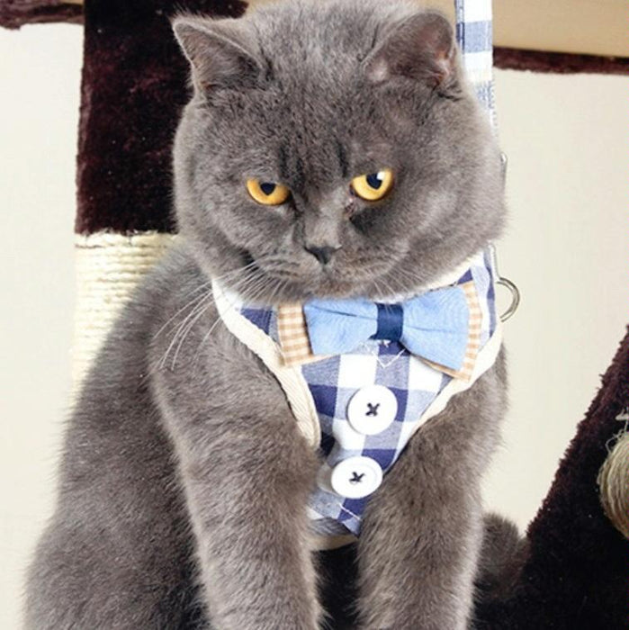 Small Dog Walking Harness With Anti Break Traction Rope Size L