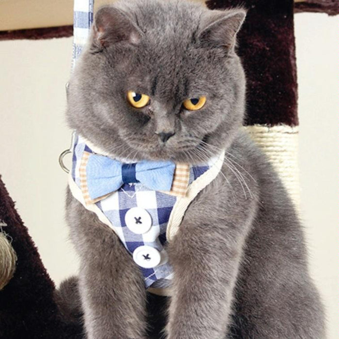 Small Dog Walking Harness With Anti Break Traction Rope Size L