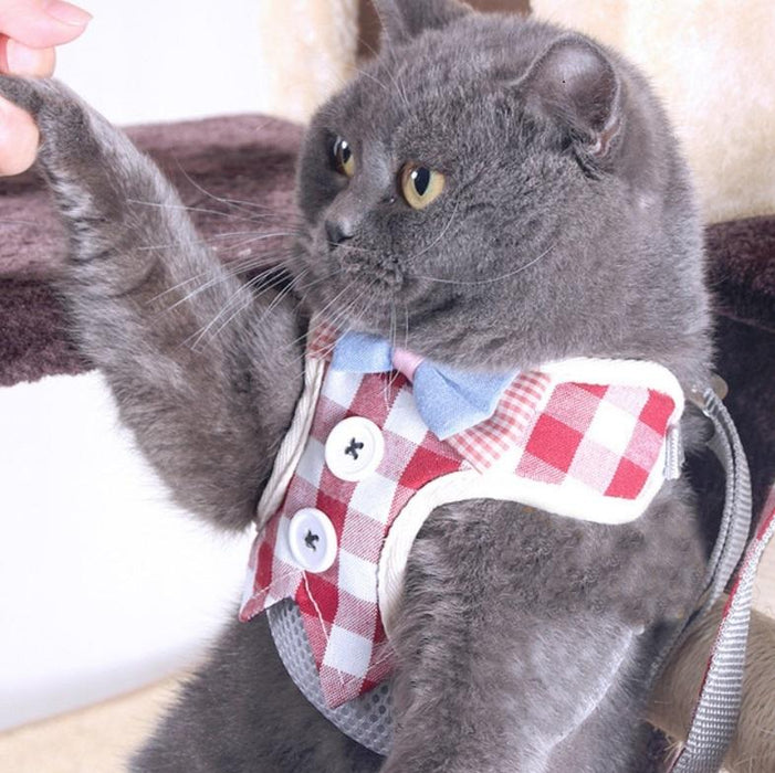 Small Dog Walking Harness With Anti Break Traction Rope Size L