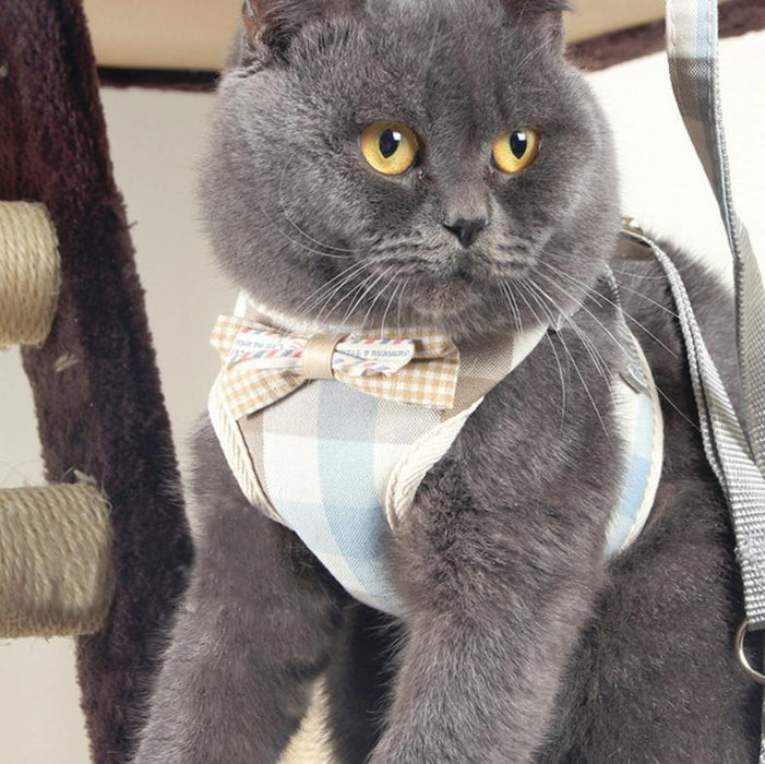 Small Dog Walking Harness With Anti Break Traction Rope Size L