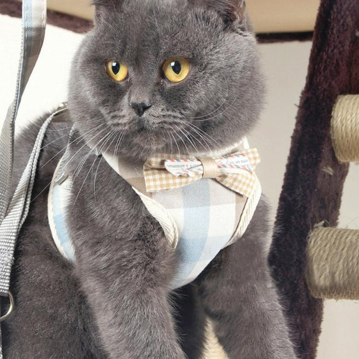 Small Dog Walking Harness With Anti Break Traction Rope Size L