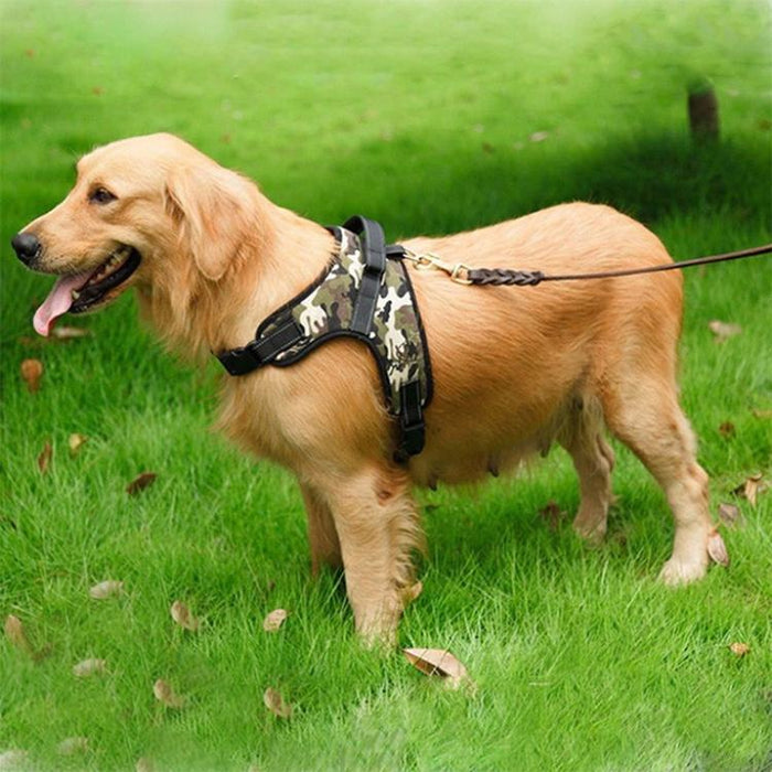Adjustable Chest Strap For Dogs Size M Black