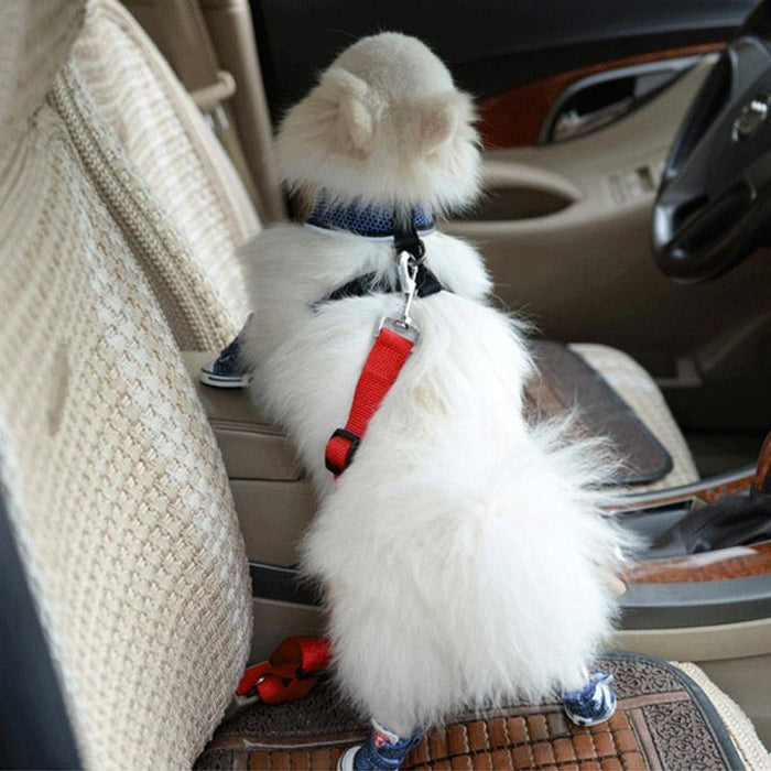 Secure Nylon Dog Car Seat Belt