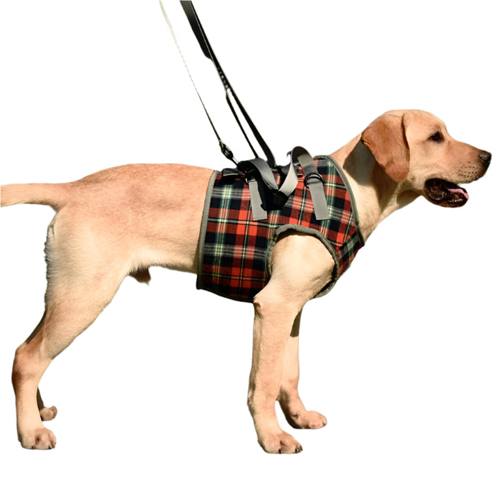 Assistive Dog Leg Straps Size M Front Leg Blue