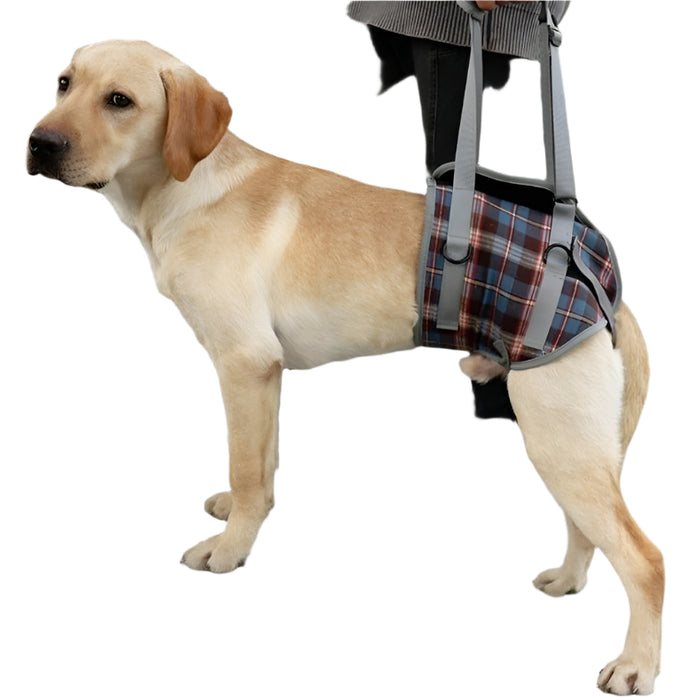 Assistive Dog Leg Straps Size M Hind Leg Blue