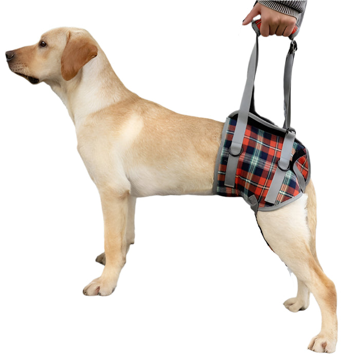 Assistive Dog Leg Straps Size L Hind Leg Blue