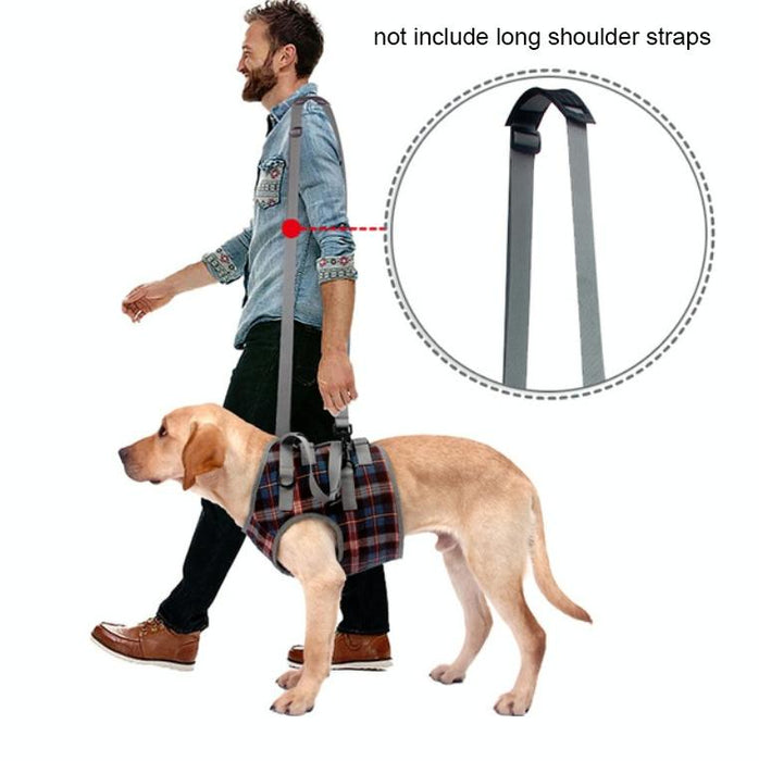 Xl Dog Leg Straps For Disabled & Injured Pets Front Leg Support Blue