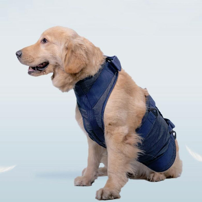 Senior Dog Chest Harness For Walking Size L