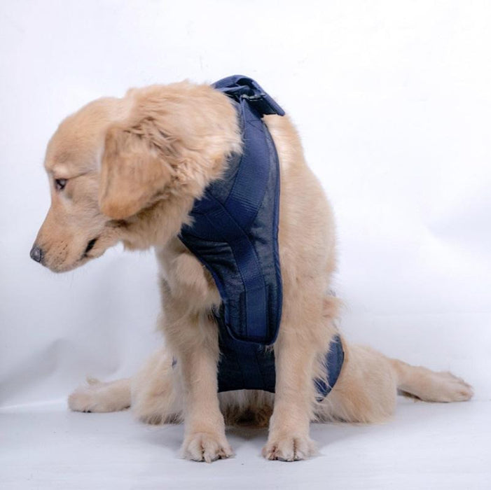 Xl Chest Harness For Senior Dogs Walking Aid