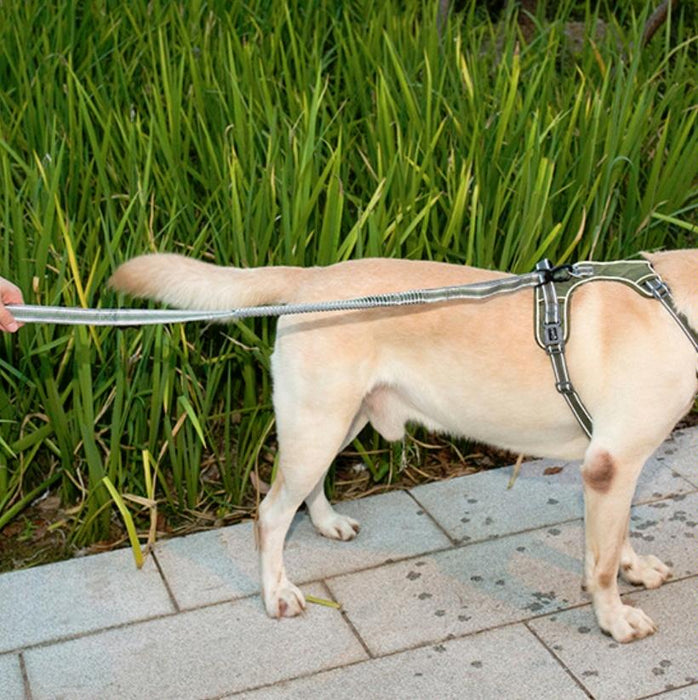 Reflective Nylon Dog Traction Rope