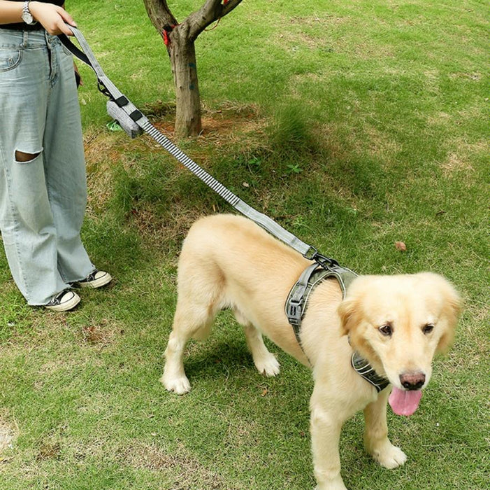 Reflective Nylon Dog Traction Rope