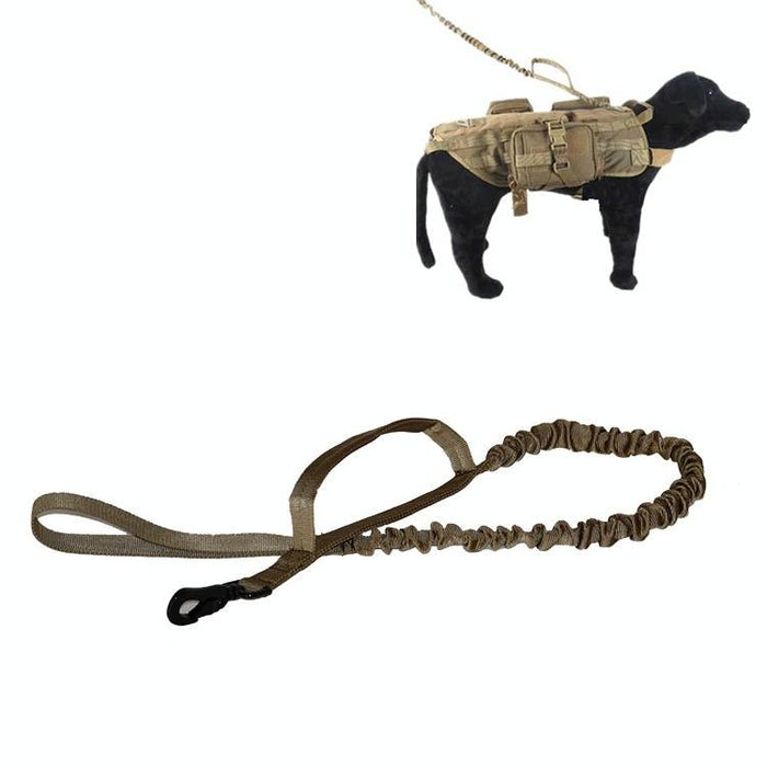 Telescopic Dog Training Leash For Outdoor Use