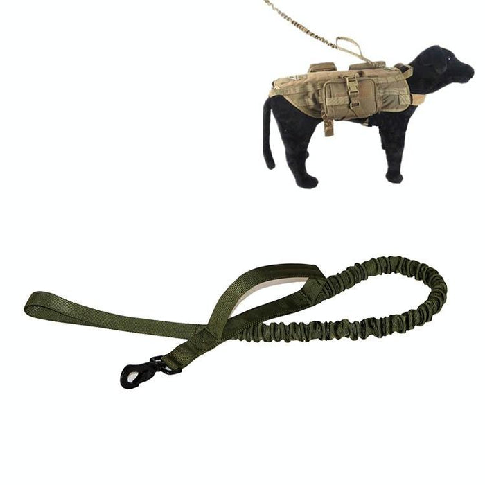 Telescopic Dog Training Leash For Outdoor Use