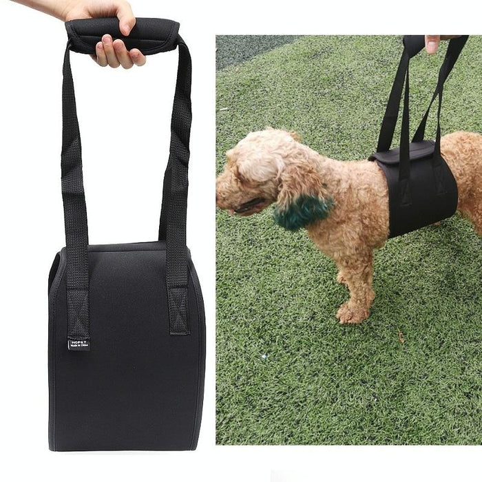 Assistive Dog Belt For Elderly Or Disabled Pets Size S