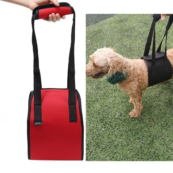 Assistive Dog Belt For Elderly Or Disabled Pets Size S