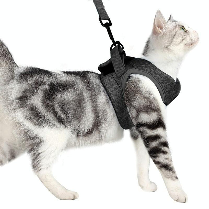 Small Cat Chest Harness & Leash Set
