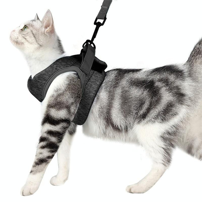 Small Cat Chest Harness & Leash Set