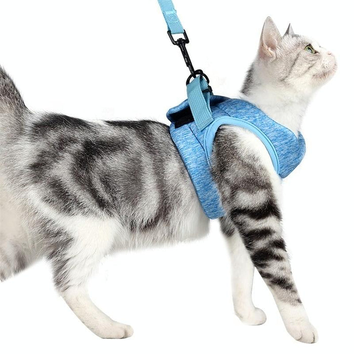 Small Cat Chest Harness & Leash Set