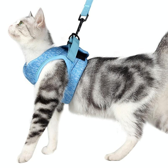 Small Cat Chest Harness & Leash Set