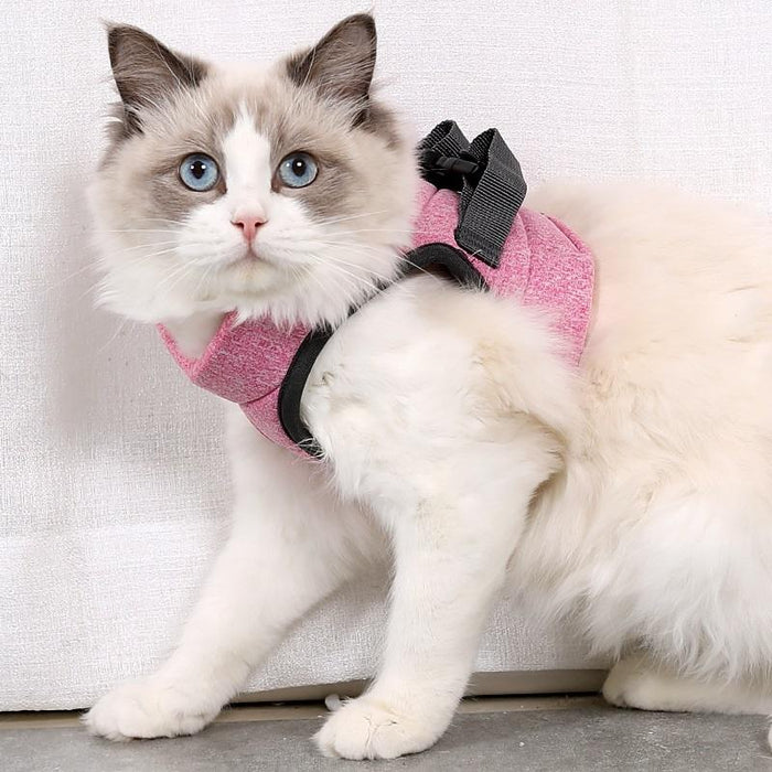 Small Cat Chest Harness & Leash Set