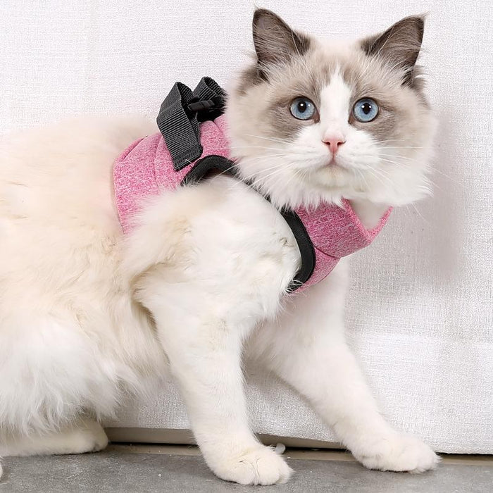 Small Cat Chest Harness & Leash Set