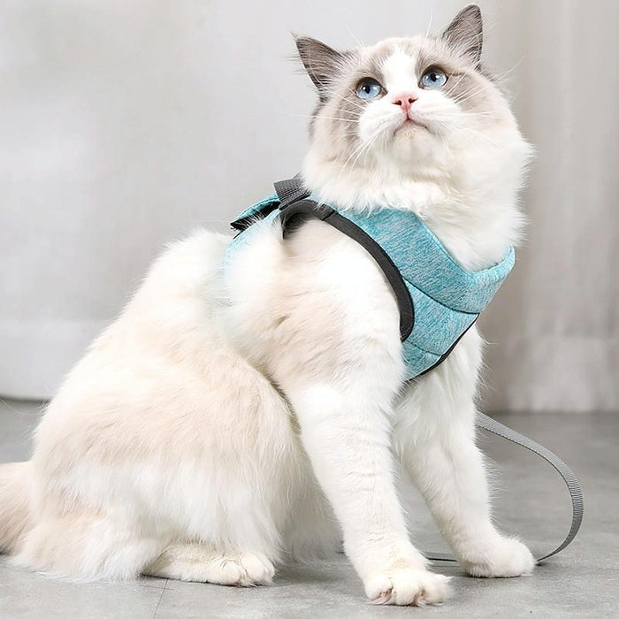 Small Cat Chest Harness & Leash Set