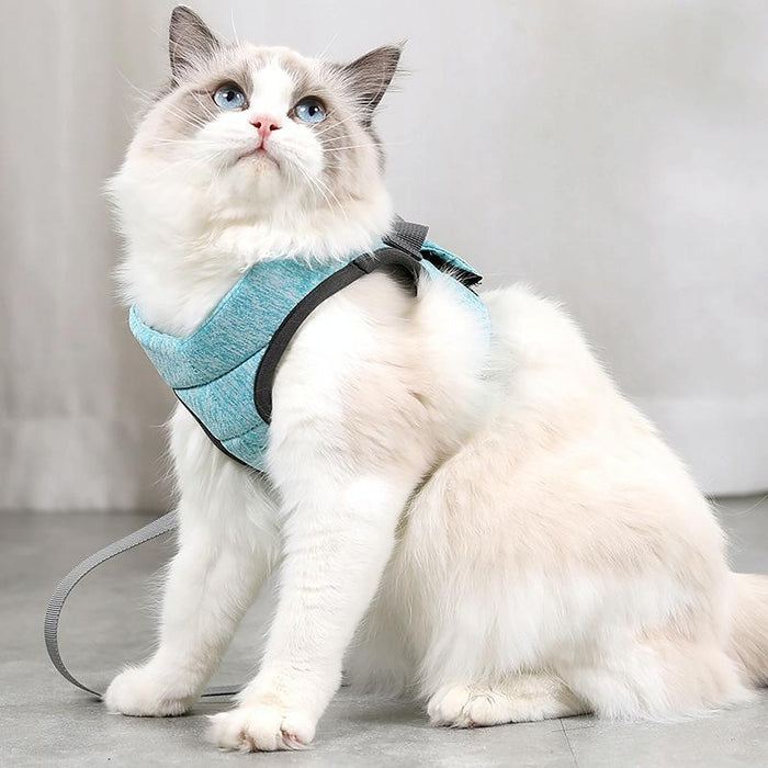 Small Cat Chest Harness & Leash Set