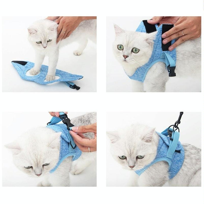 Small Cat Chest Harness & Leash Set