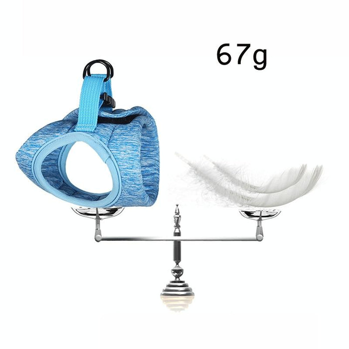 Small Cat Chest Harness & Leash Set