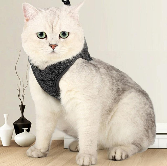 Small Cat Chest Harness & Leash Set