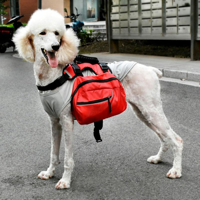 Multifunctional Pet Backpack With Detachable Leash L Red