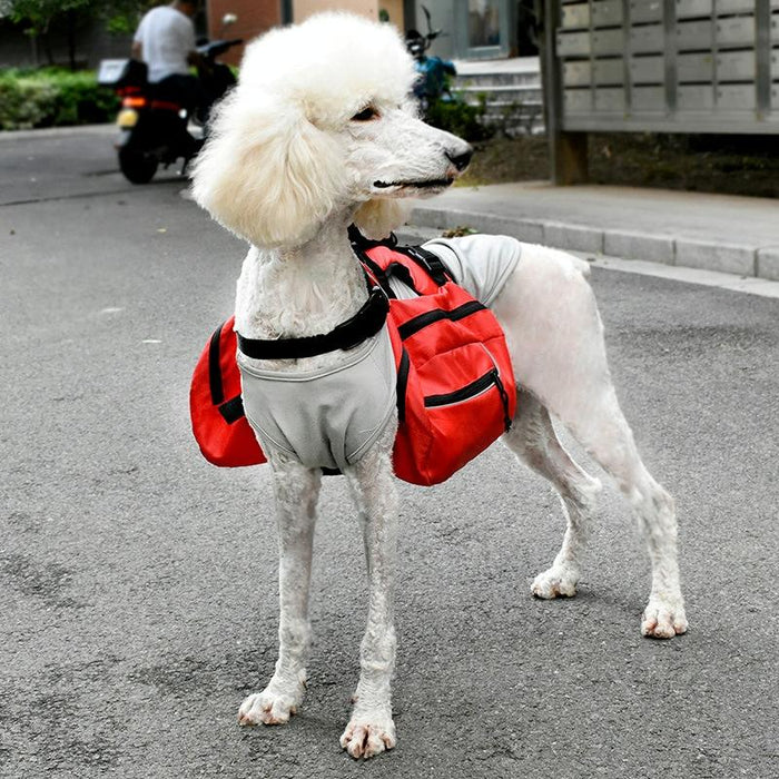 Multifunctional Pet Backpack With Detachable Leash L Red