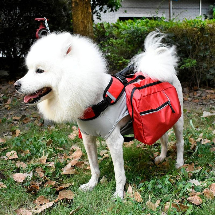 Multifunctional Pet Backpack With Detachable Leash L Red