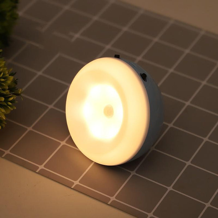 Intelligent Led Night Light With Motion Sensor