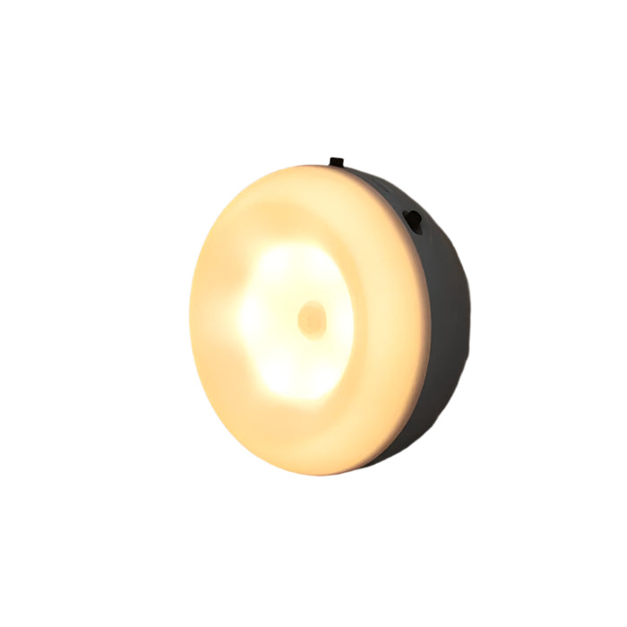 Intelligent Led Night Light With Motion Sensor