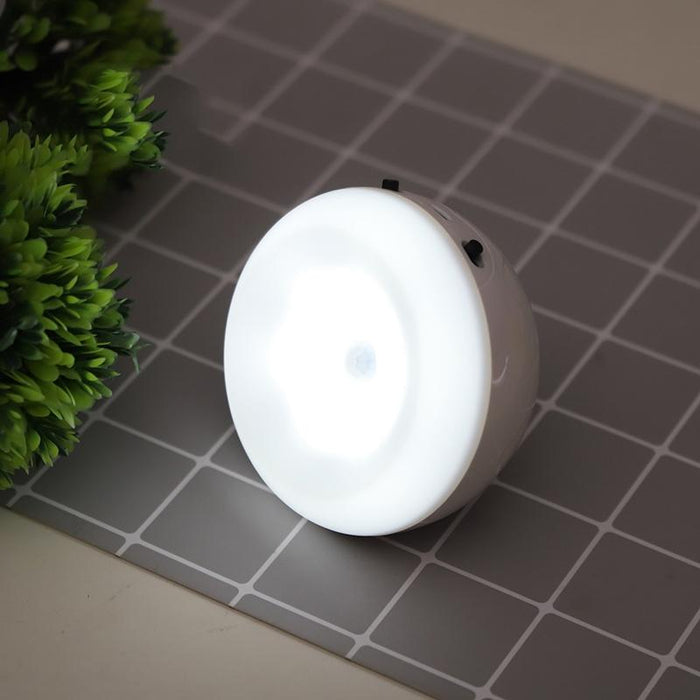 Intelligent Led Night Light With Motion Sensor