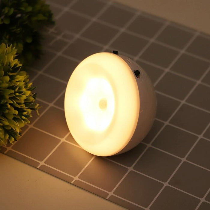 Intelligent Led Night Light With Motion Sensor