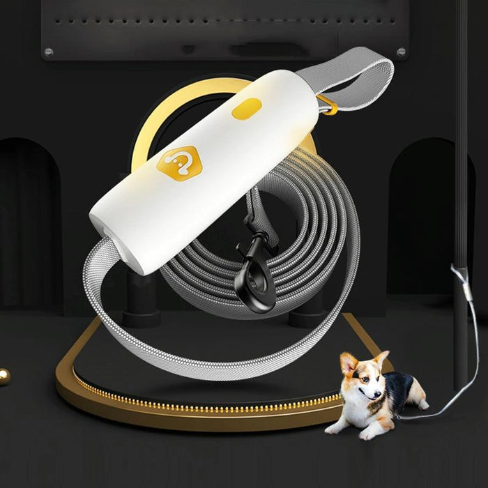 Small & Medium Dog Elastic Traction Rope