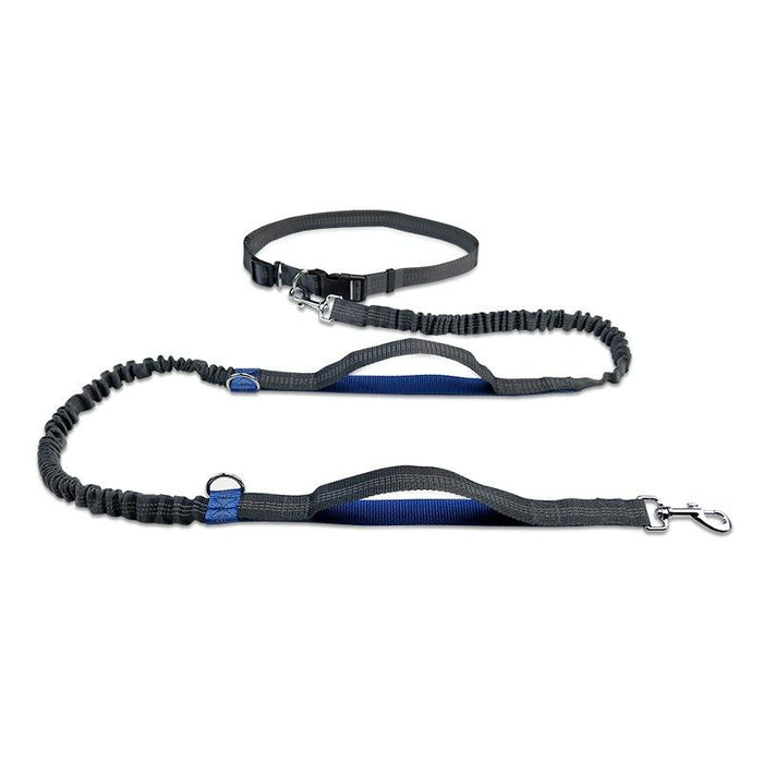 Reflective Double Telescopic Dog Leash
