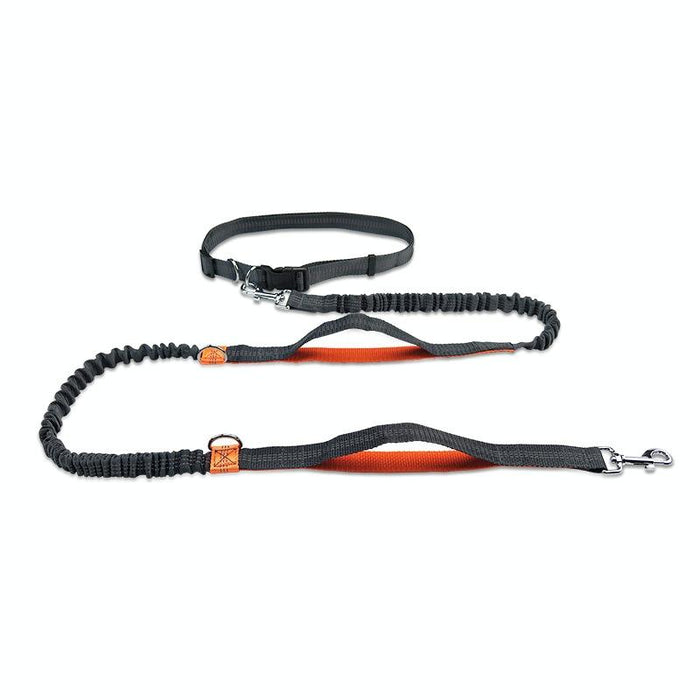Reflective Double Telescopic Dog Leash