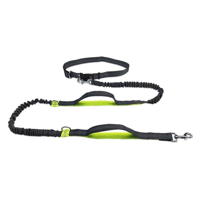 Reflective Double Telescopic Dog Leash