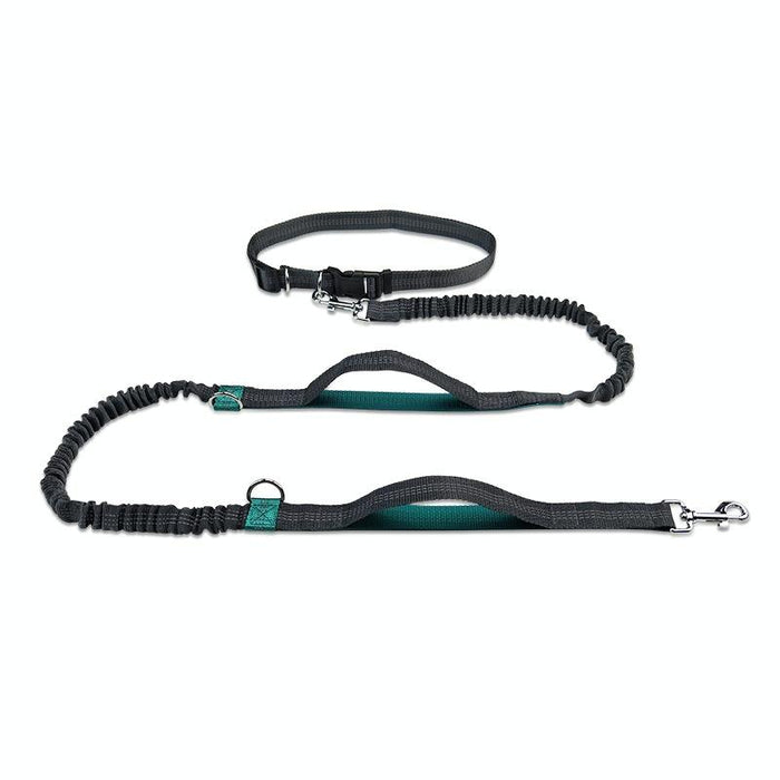Reflective Double Telescopic Dog Leash