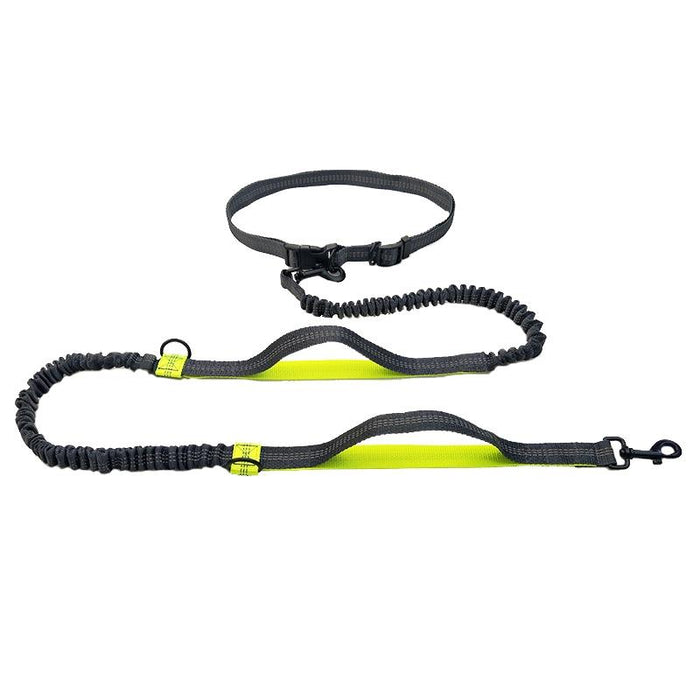 Reflective Double Telescopic Dog Leash