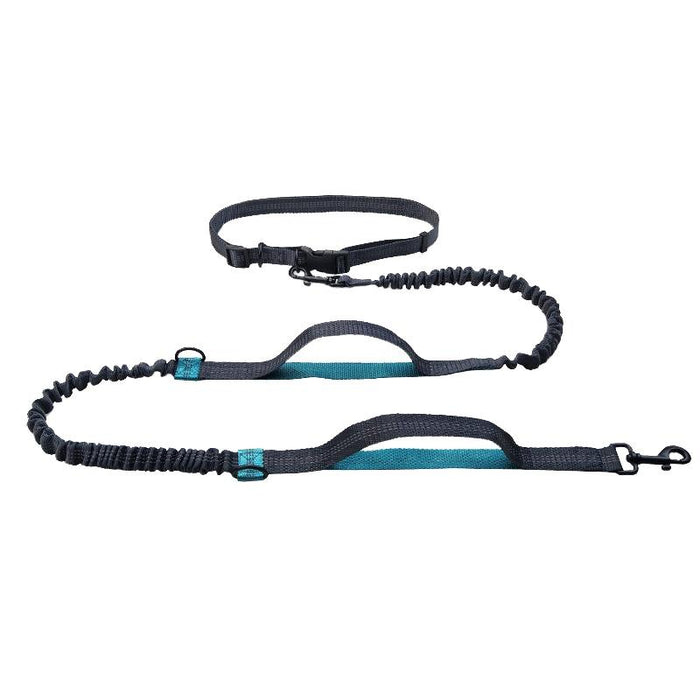 Reflective Double Telescopic Dog Leash