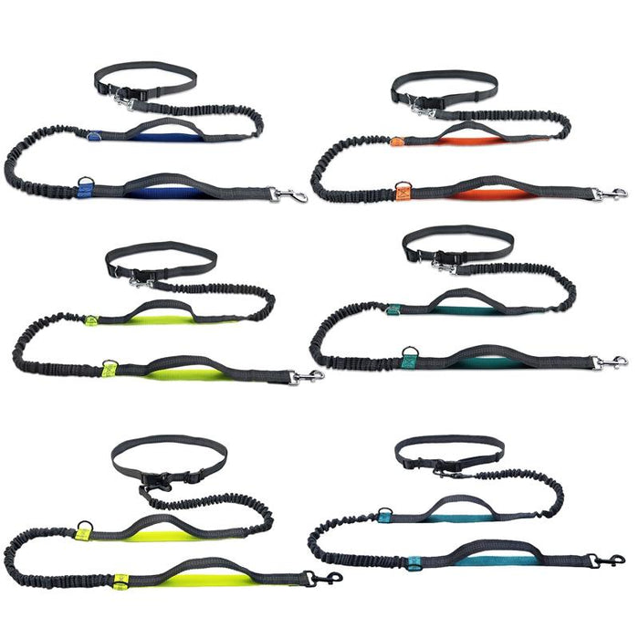 Reflective Double Telescopic Dog Leash