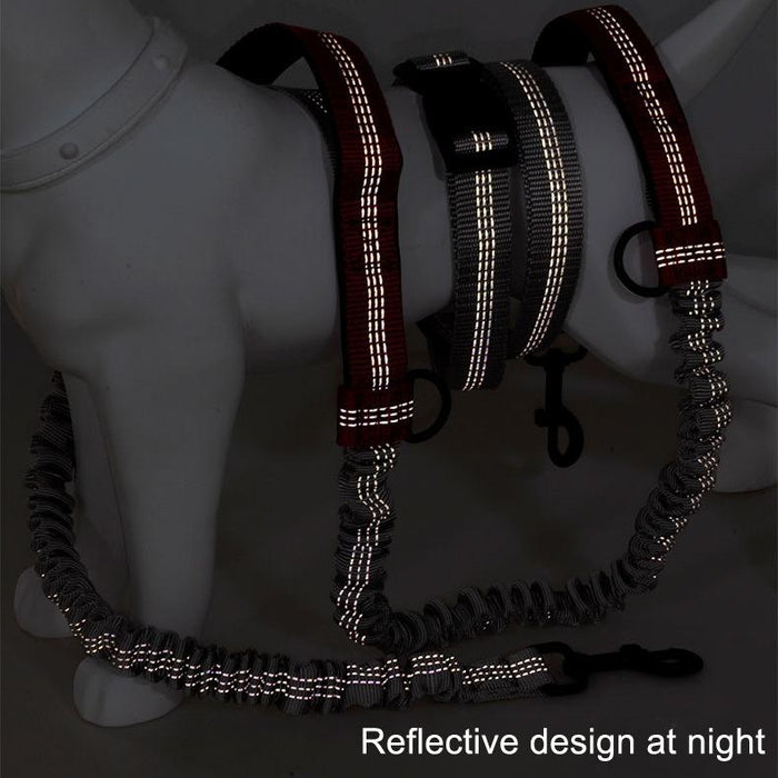 Reflective Double Telescopic Dog Leash