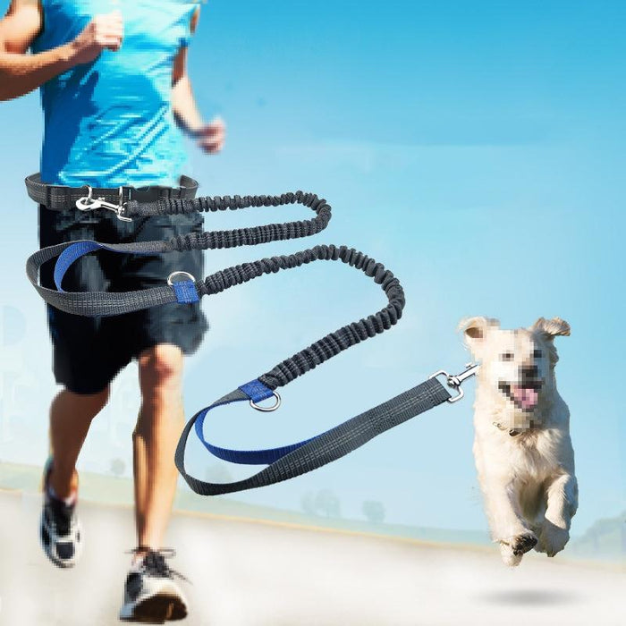 Reflective Double Telescopic Dog Leash